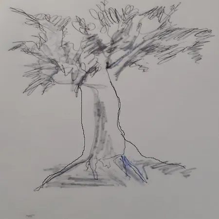 Fiori 1920 * Леричи